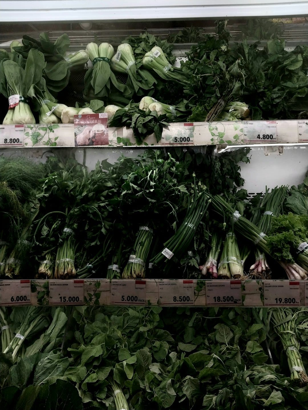 Fresh green vegetables neatly arranged on refrigerated supermarket shelves.